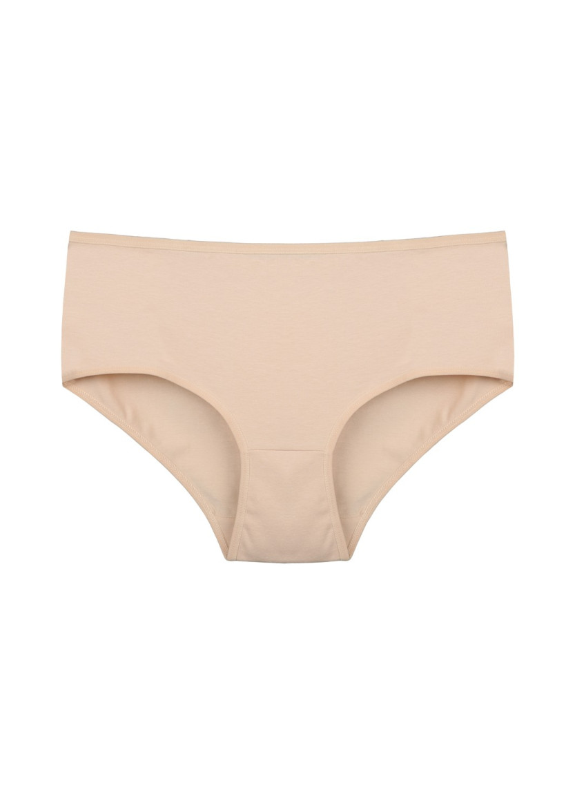 Donella 2571T 10-Pack Women's Briefs — wholesale for boutiques