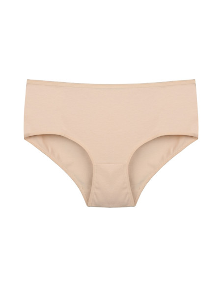 Donella 2571T 10-Pack Women's Briefs — wholesale for boutiques