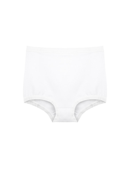 Donella 2856 10-Pack Women's Briefs — Turkish factory wholesale