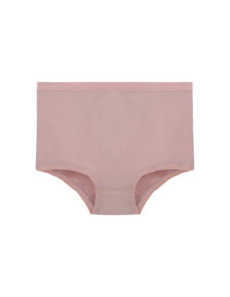 Donella 2856P Assorted 10-Pack Women's Briefs — Turkish textile wholesale