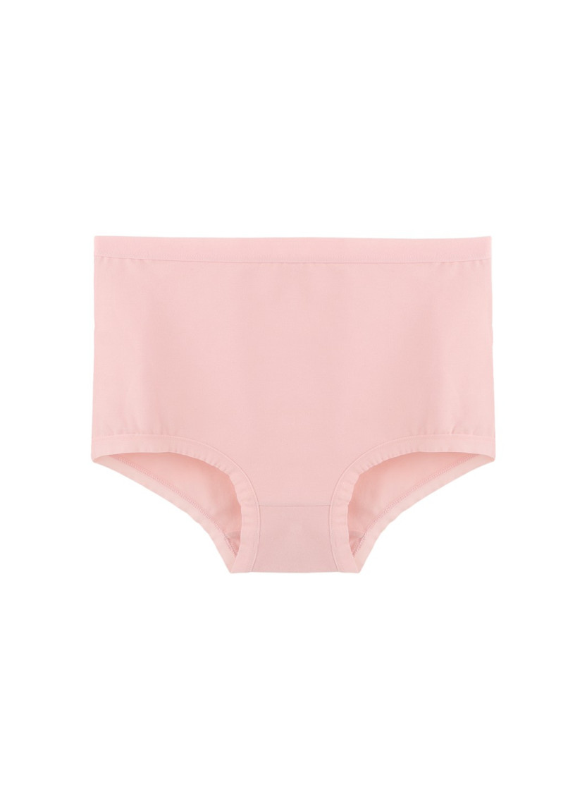 Donella 2856P Assorted 10-Pack Women's Briefs — wholesale from Turkey