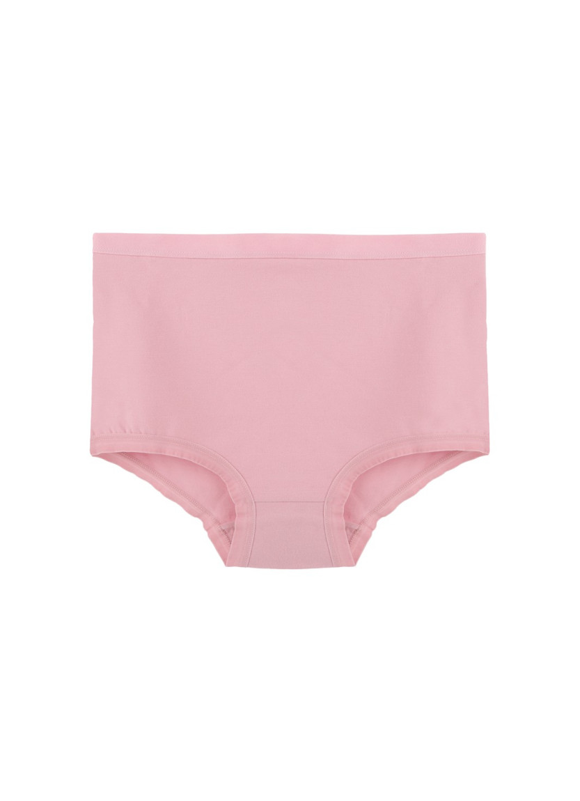 Donella 2856P Assorted 10-Pack Women's Briefs — Turkish textile wholesale