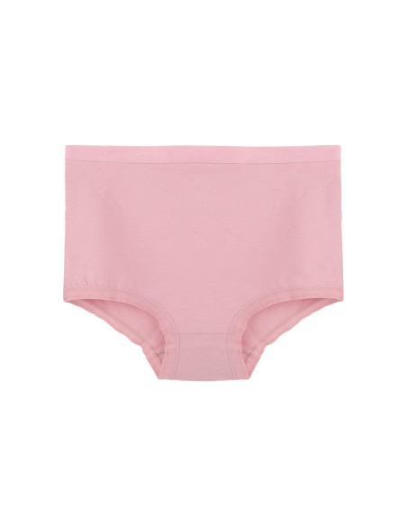 Donella 2856P Assorted 10-Pack Women's Briefs — Turkish textile wholesale