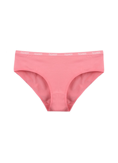 Donella 3171PD6 Assorted 10-Pack Women's Briefs — Istanbul wholesale supplier