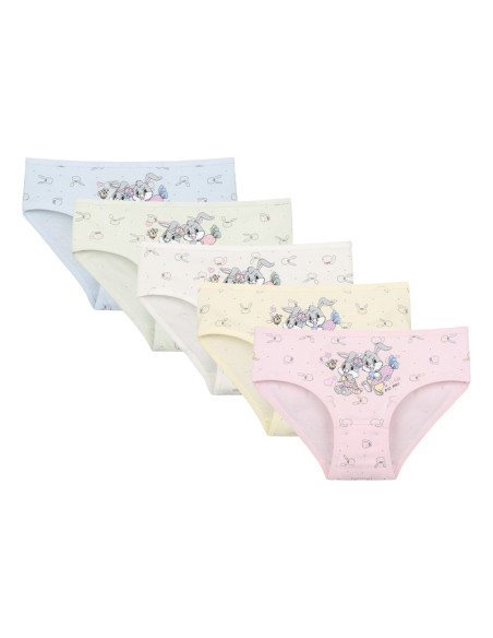 Трусики для Девочек (Ассорти) 10 шт/уп. 4181B8 Donella 4181B8 — купить оптом из Турции