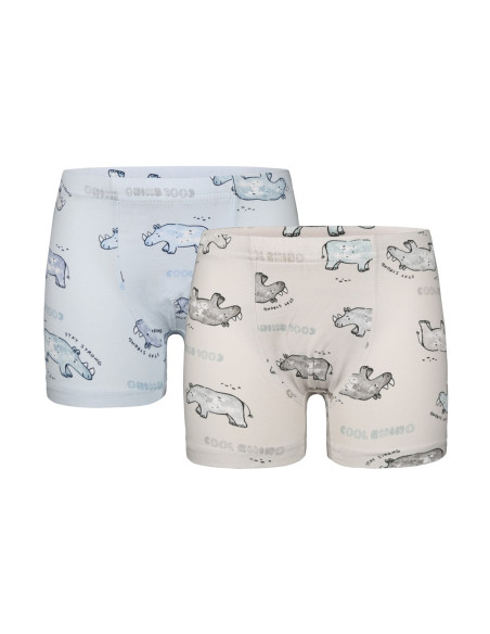 Donella 758102 Assorted 10-Pack Boys' Boxer Briefs — wholesale for boutiques