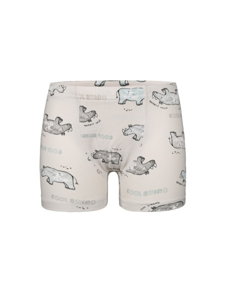 Donella 758102 Assorted 10-Pack Boys' Boxer Briefs — Turkey wholesale collection