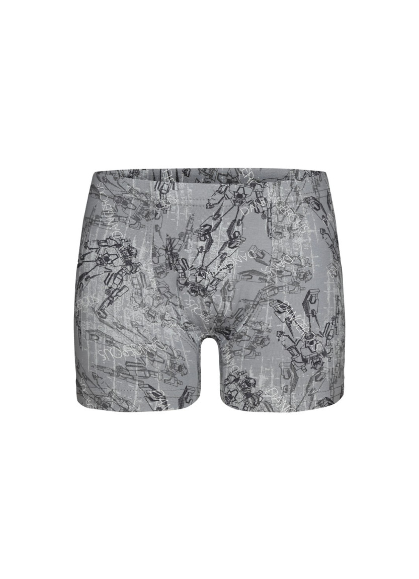 Donella 758104 Assorted 10-Pack Boys' Boxer Briefs — Istanbul wholesale supplier
