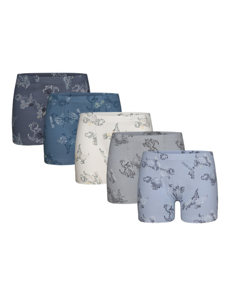 Donella 758105 Assorted 10-Pack Boys' Boxer Briefs — wholesale for boutiques