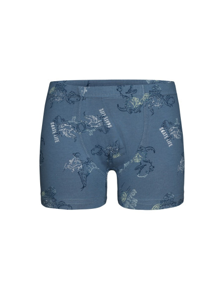 Donella 758105 Assorted 10-Pack Boys' Boxer Briefs — Istanbul wholesale supplier