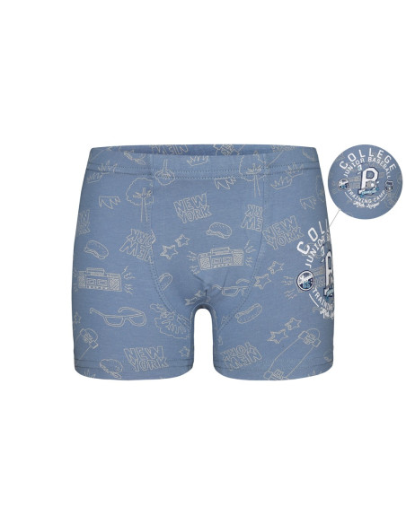 Donella 7581B10 Оптом Турция Фабрика Трусики для Мальчиков Boxer (Ассорти) 10 шт/уп Donella 7581B10 Купить Оптом с Турции