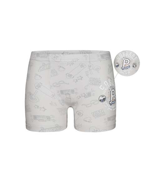Donella 7581B10 Оптом Турция Фабрика Трусики для Мальчиков Boxer (Ассорти) 10 шт/уп Donella 7581B10 Купить Оптом с Турции