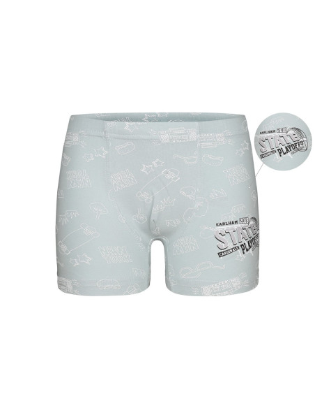 Donella 7581B10 Оптом Турция Фабрика Трусики для Мальчиков Boxer (Ассорти) 10 шт/уп Donella 7581B10 Купить Оптом с Турции