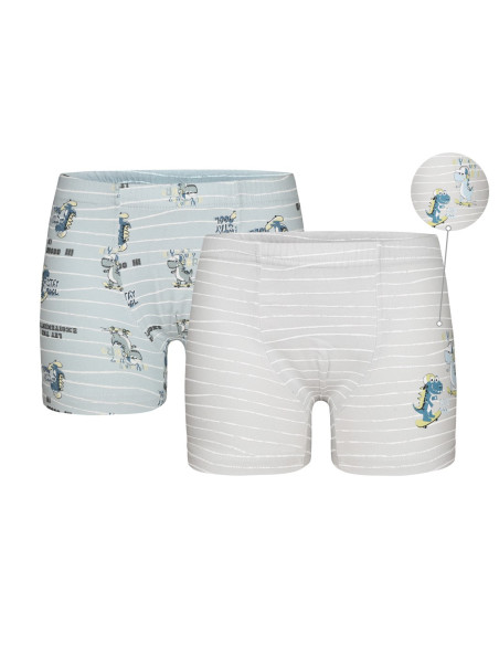 Donella 7581B4 Assorted 10-Pack Boys' Boxer Briefs — Istanbul wholesale supplier