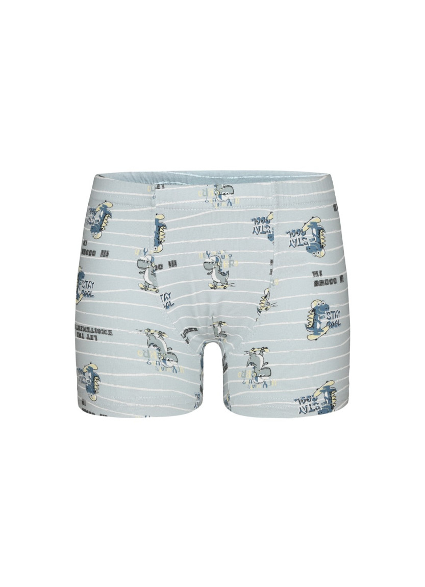 Donella 7581B4 Assorted 10-Pack Boys' Boxer Briefs — Turkey wholesale collection