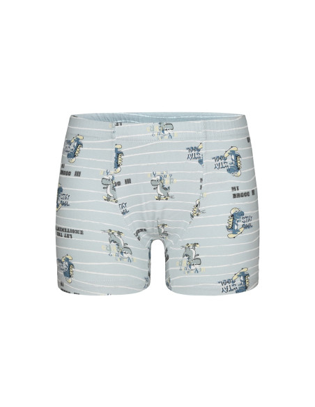 Donella 7581B4 Assorted 10-Pack Boys' Boxer Briefs — Turkey wholesale collection