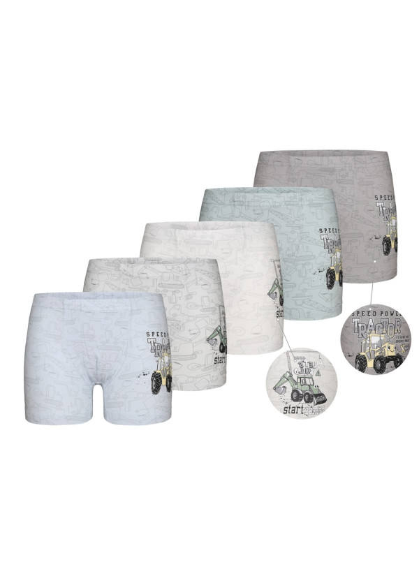 Donella 7581B5 Assorted 10-Pack Boys' Boxer Briefs — Turkey wholesale collection