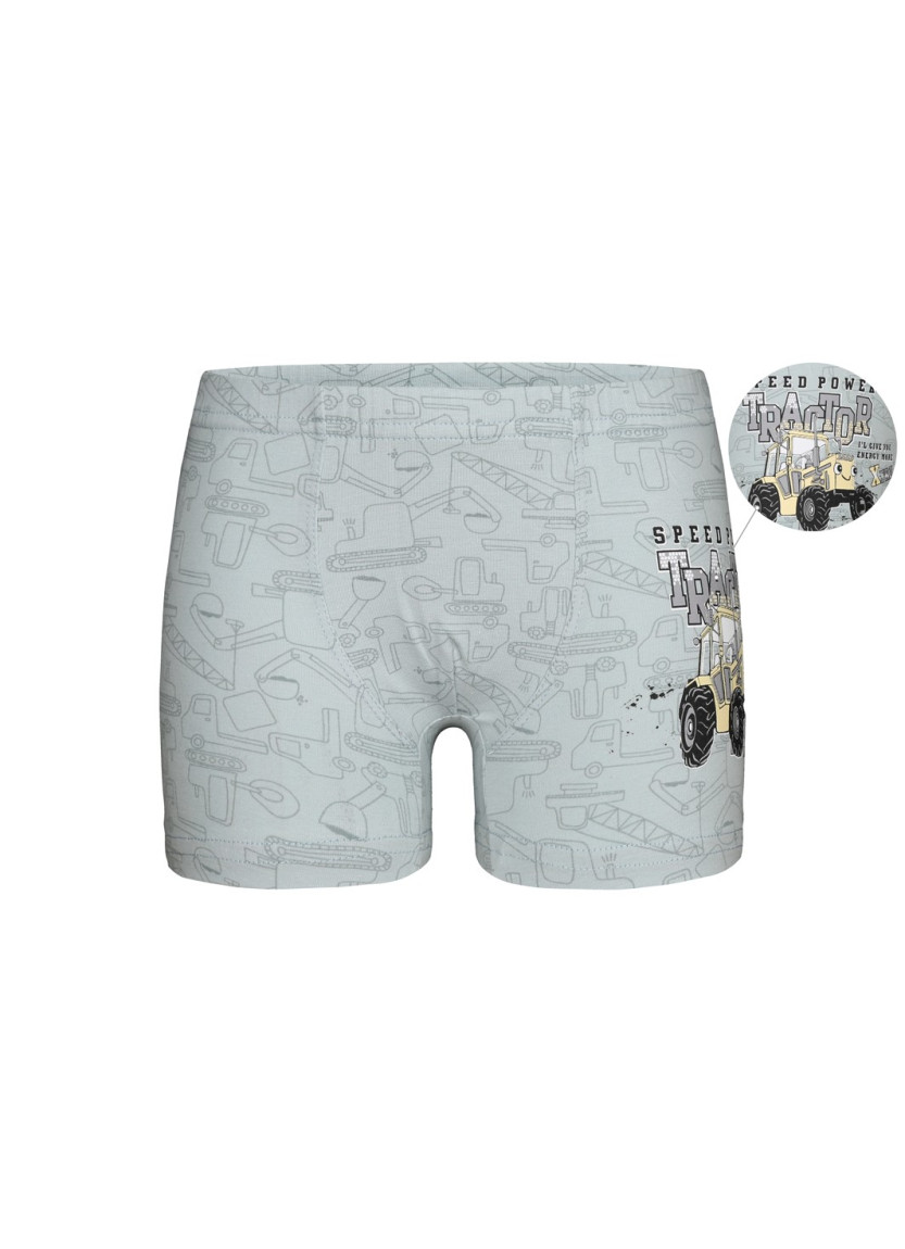 Трусики для Мальчиков Boxer (Ассорти) 10 шт/уп Donella 7581B5 — оптом от турецкой фабрики