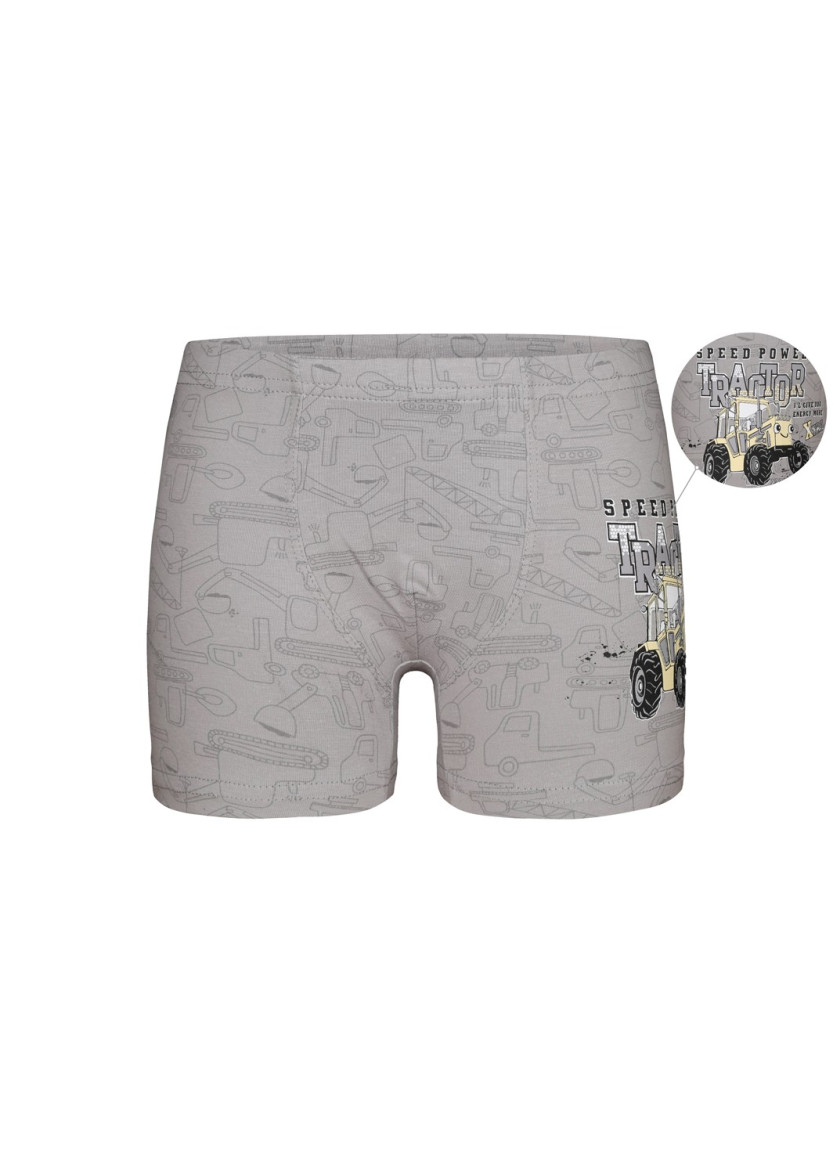 Трусики для Мальчиков Boxer (Ассорти) 10 шт/уп Donella 7581B5 — купить оптом со Стамбула