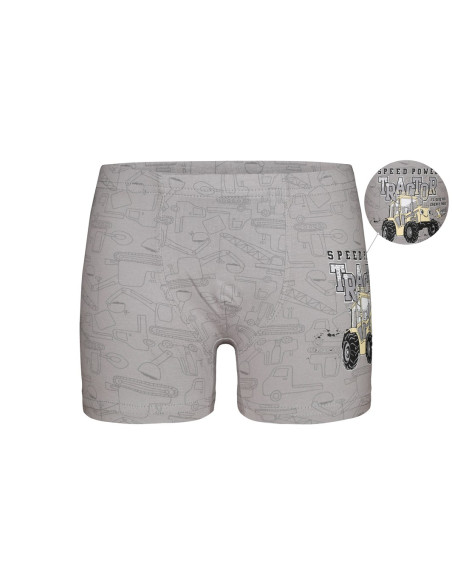 Трусики для Мальчиков Boxer (Ассорти) 10 шт/уп Donella 7581B5 — купить оптом со Стамбула