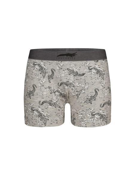 Donella 8081B1 Assorted 10-Pack Boys' Boxer Briefs — factory-direct from Turkey