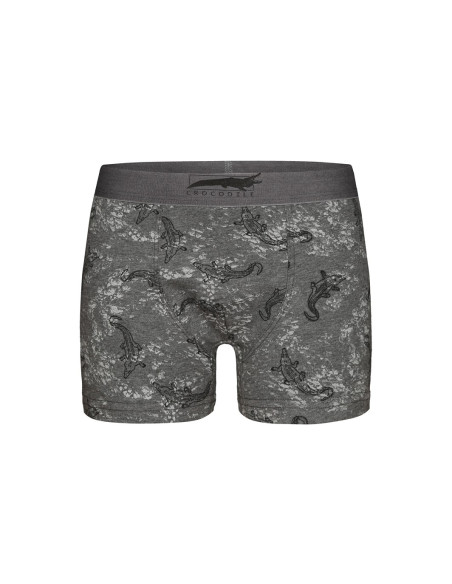 Donella 8081B1 Assorted 10-Pack Boys' Boxer Briefs — Turkish textile wholesale