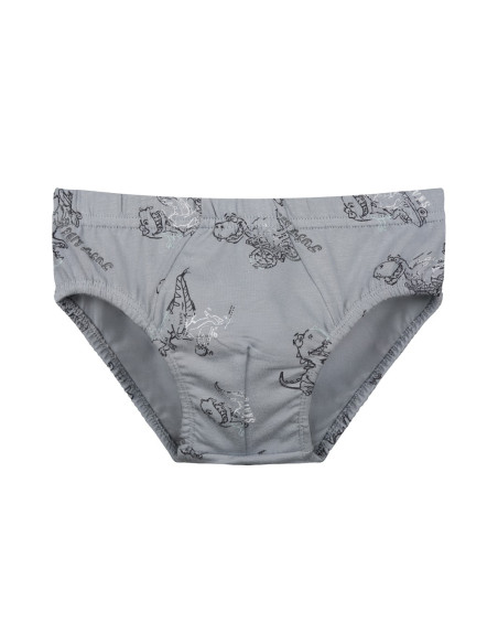 Donella 768105 Оптом Турция Фабрика Трусики для Мальчиков (Ассорти) 10 шт/уп Donella 768105 Купить Оптом с Турции
