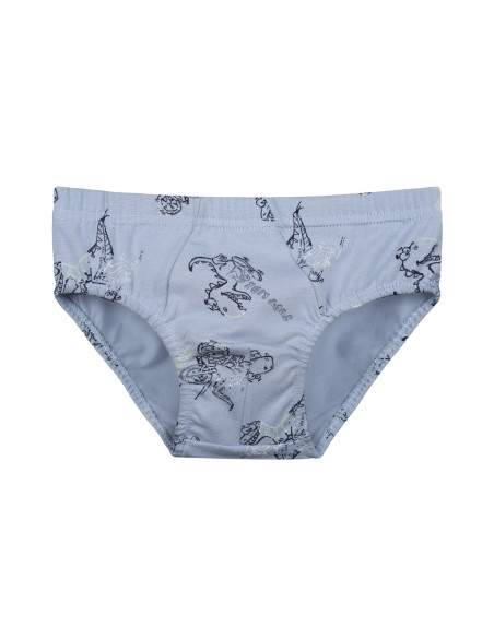 Donella 768105 Оптом Турция Фабрика Трусики для Мальчиков (Ассорти) 10 шт/уп Donella 768105 Купить Оптом с Турции