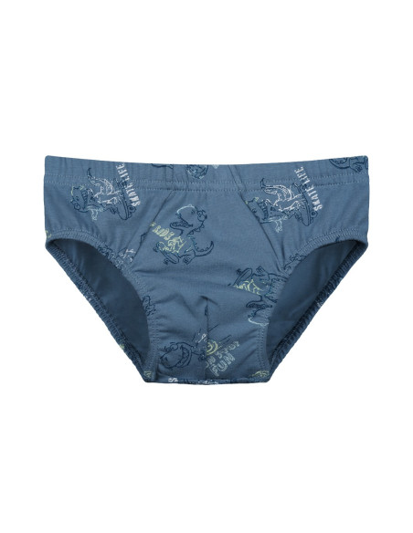 Donella 768105 Оптом Турция Фабрика Трусики для Мальчиков (Ассорти) 10 шт/уп Donella 768105 Купить Оптом с Турции