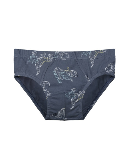 Donella 768105 Оптом Турция Фабрика Трусики для Мальчиков (Ассорти) 10 шт/уп Donella 768105 Купить Оптом с Турции