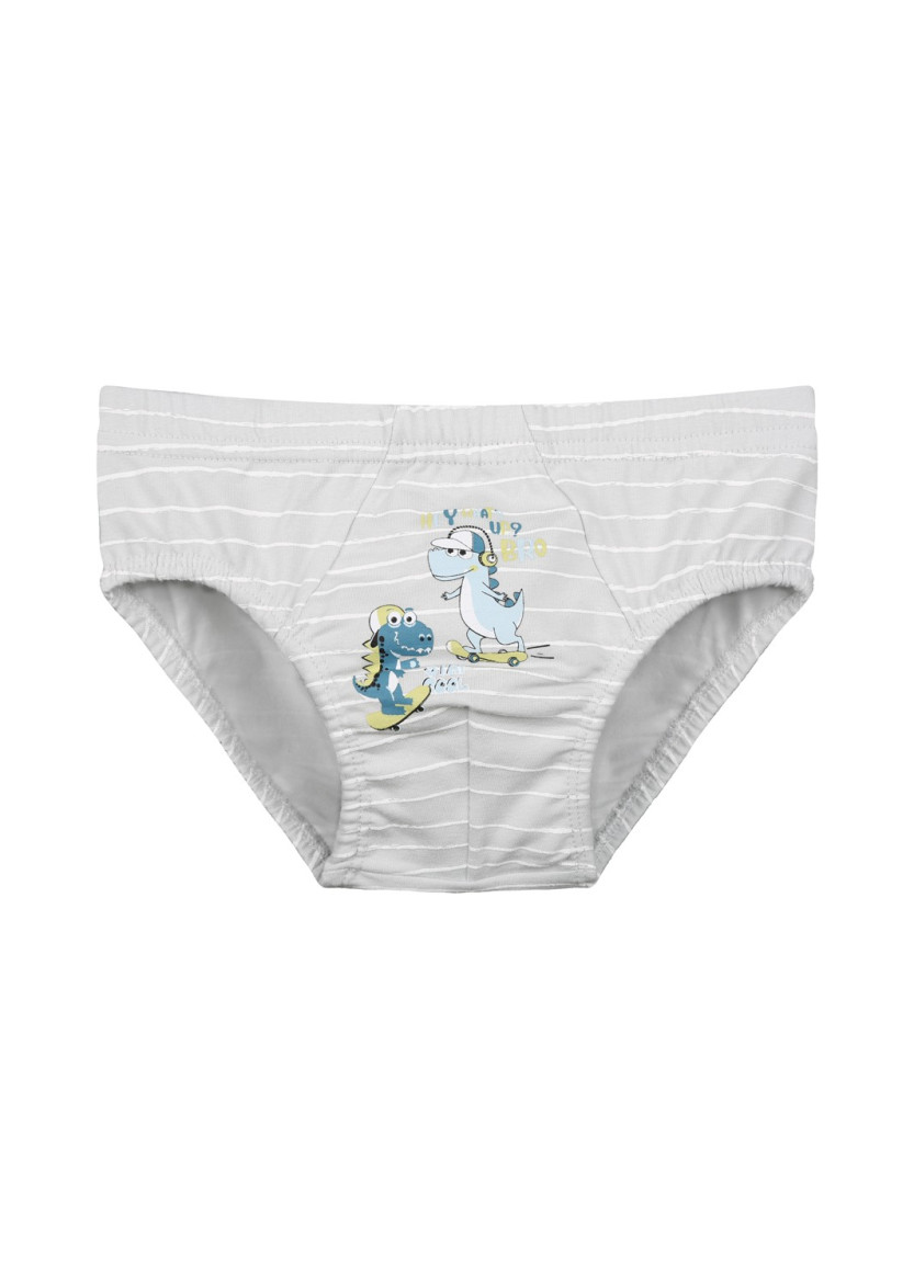 Donella 7681B4 Assorted 10-Pack Boys' Boxer Briefs — direct Turkish factory supply