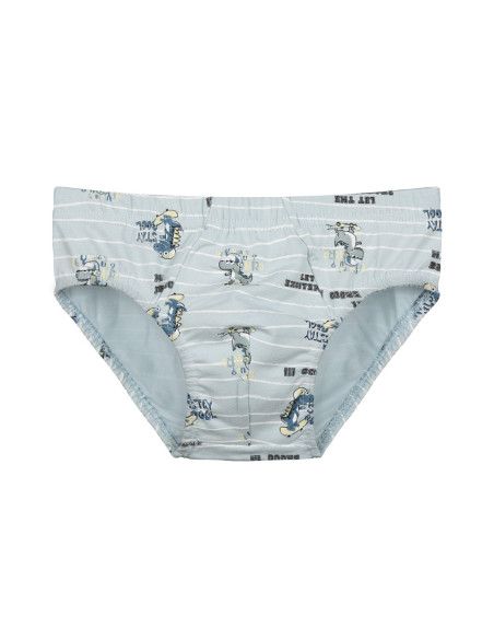 Donella 7681B4 Assorted 10-Pack Boys' Boxer Briefs — wholesale from Turkey