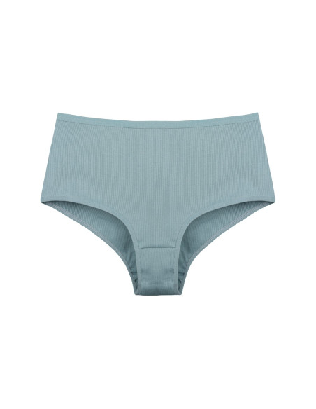 Donella 0632P Assorted 10-Pack Women's Briefs — Istanbul wholesale supplier