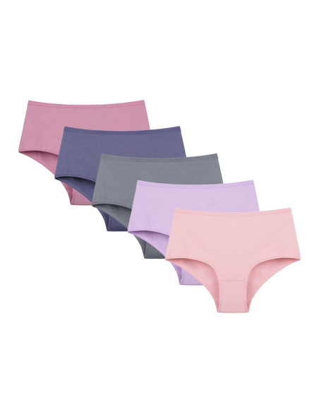 Donella 0671PD2 Assorted 10-Pack Women's Briefs — Turkish factory wholesale