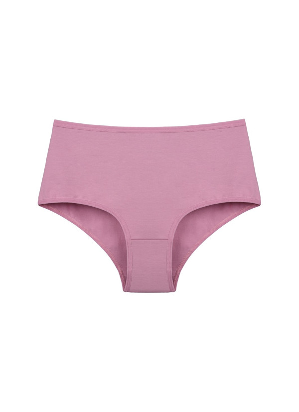 Donella 0671PD2 Assorted 10-Pack Women's Briefs — Turkish factory wholesale 2