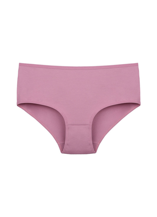 Donella 2571PD2 Assorted 10-Pack Women's Briefs — Turkish factory wholesale 2