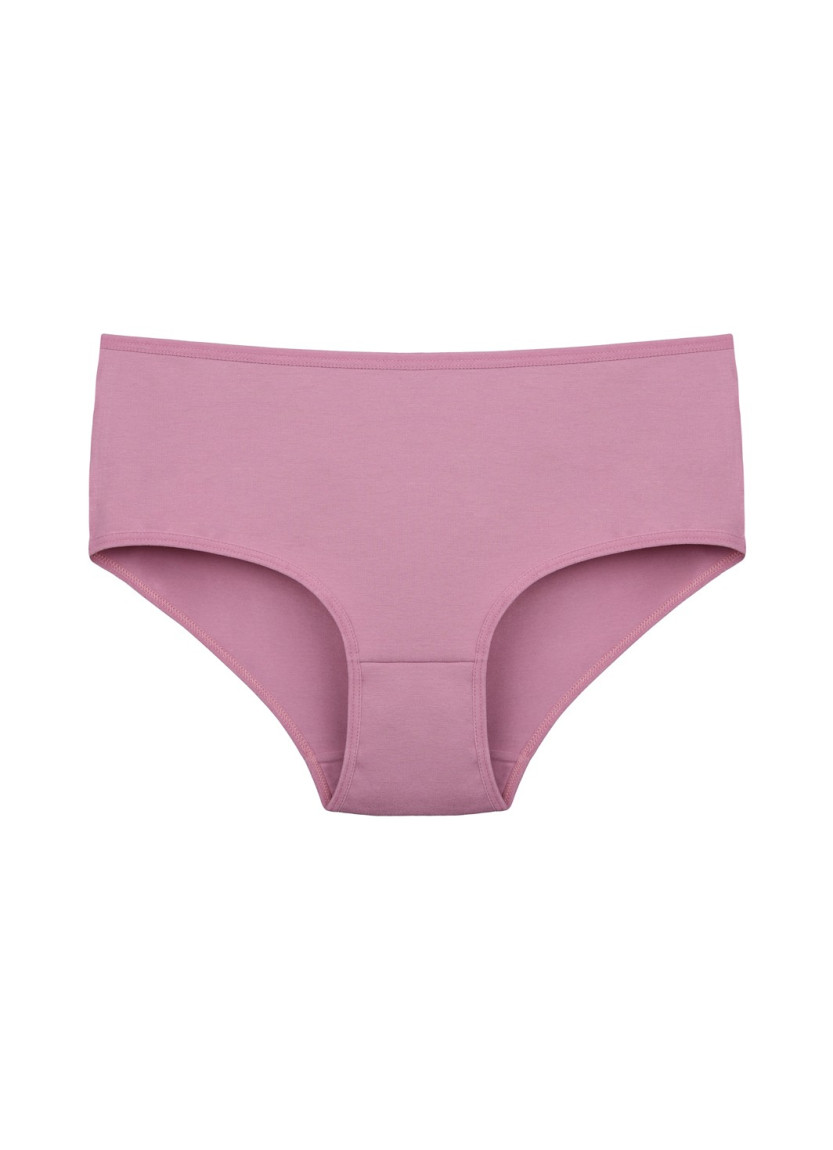 Donella 2571PD2 Assorted 10-Pack Women's Briefs — Istanbul wholesale supplier