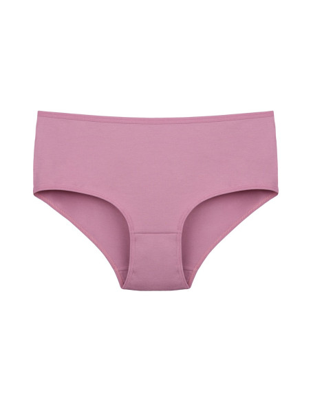Donella 2571PD2 Assorted 10-Pack Women's Briefs — Istanbul wholesale supplier