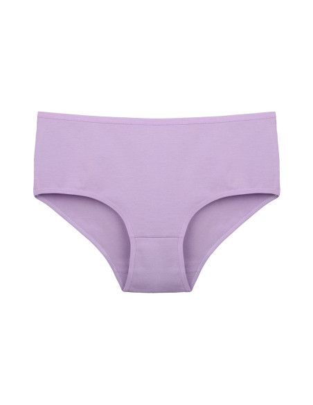 Donella 2571PD2 Assorted 10-Pack Women's Briefs — wholesale for boutiques