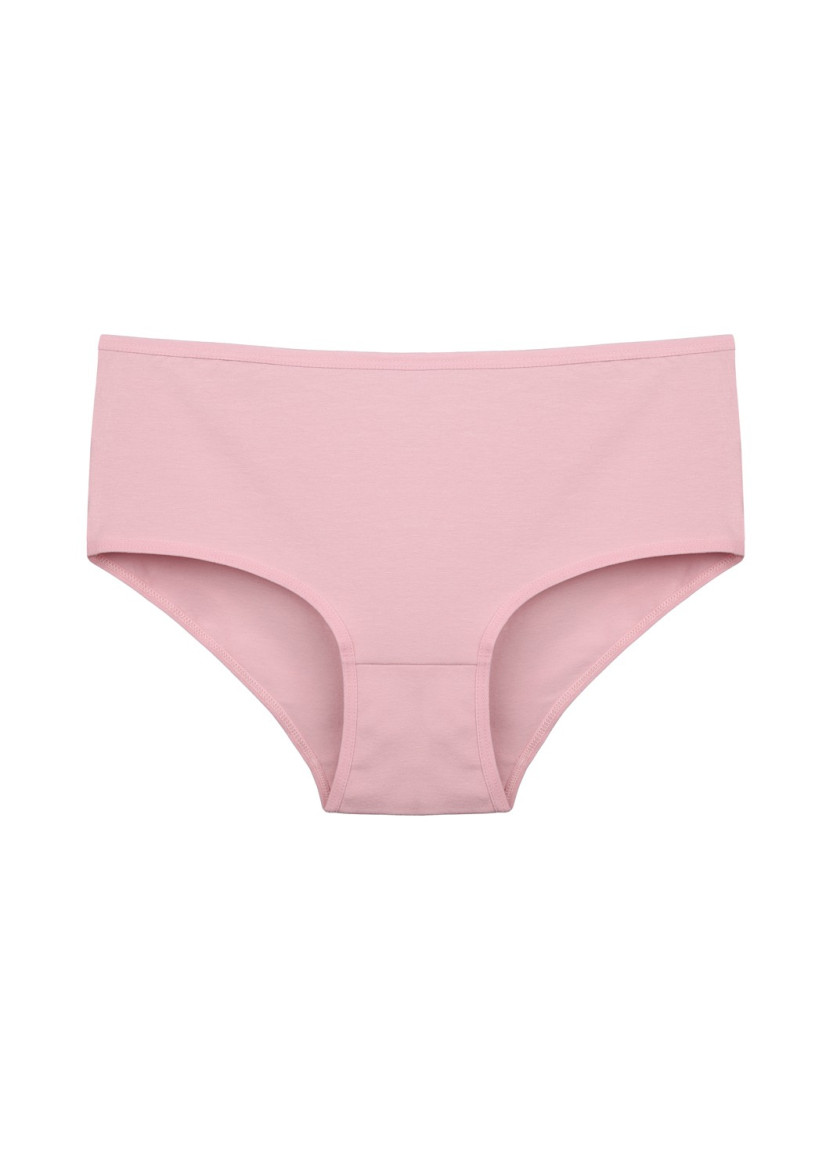 Donella 2571PD2 Assorted 10-Pack Women's Briefs — Turkey wholesale collection
