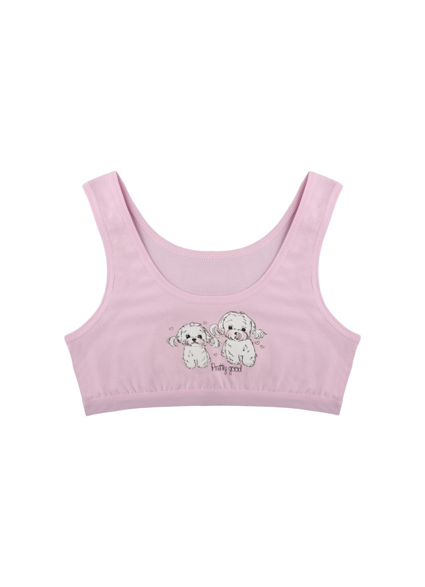 Donella 4571PB16 Assorted 10-Pack Bra — direct Turkish factory supply