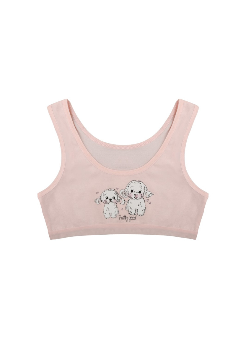 Donella 4571PB16 Assorted 10-Pack Bra — wholesale from Turkey