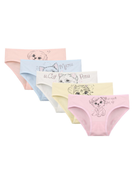Donella 4171PB13 Assorted 10-Pack Girls' Briefs — wholesale for boutiques