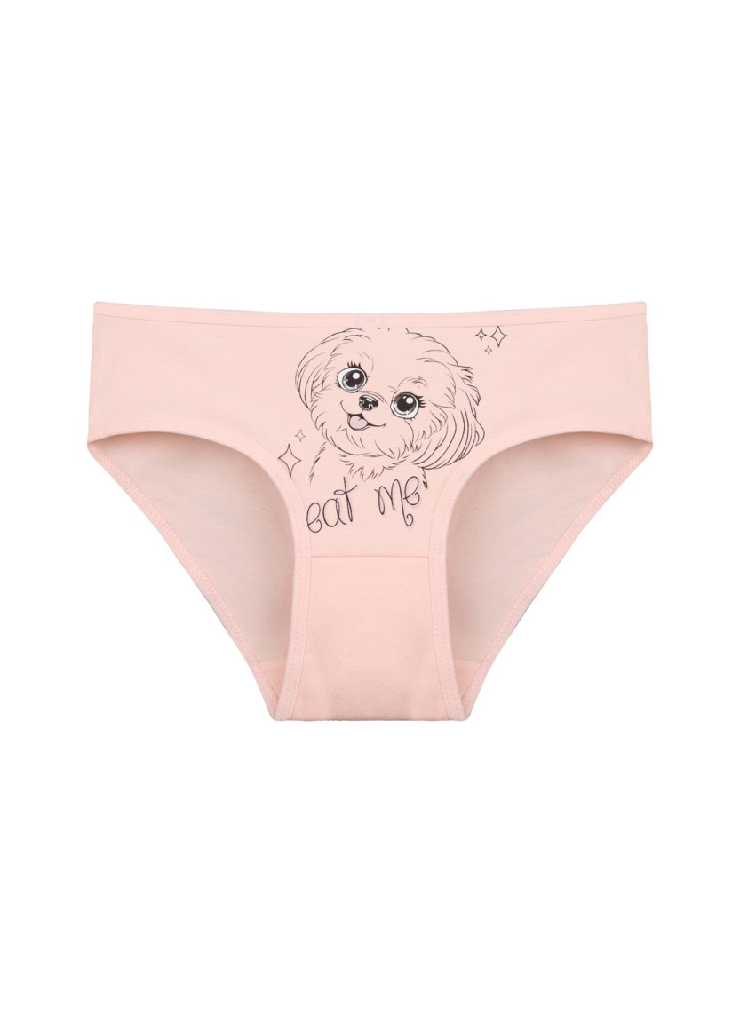 Donella 4171PB13 Assorted 10-Pack Girls' Briefs — Turkish factory wholesale