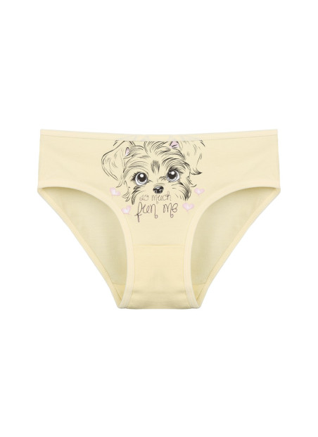 Donella 4171PB13 Assorted 10-Pack Girls' Briefs — wholesale for boutiques