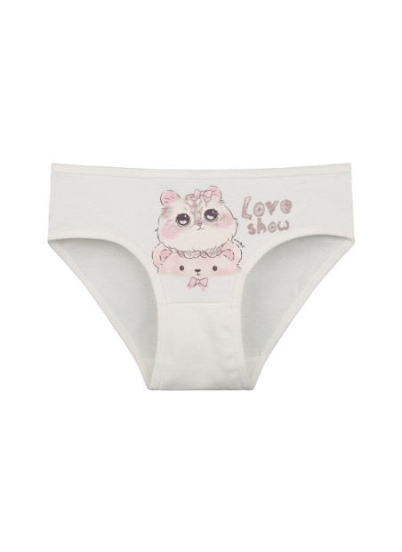 Donella 4171PB21 Assorted 10-Pack Girls' Briefs — wholesale from Turkey