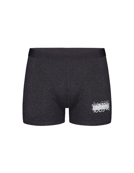 Трусики для Мальчиков Boxer (Ассорти) 10 шт/уп Donella 8381B2 — купить оптом из Турции