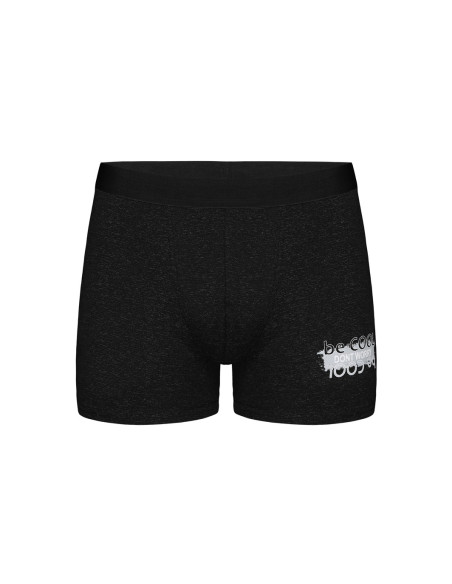 Donella 8381B2 Assorted 10-Pack Boys' Boxer Briefs — Turkish textile wholesale