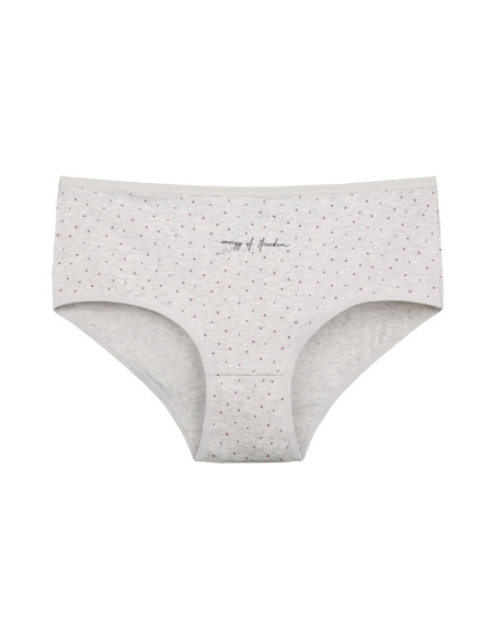 Donella 2581B7 Assorted 10-Pack Women's Briefs — wholesale for boutiques