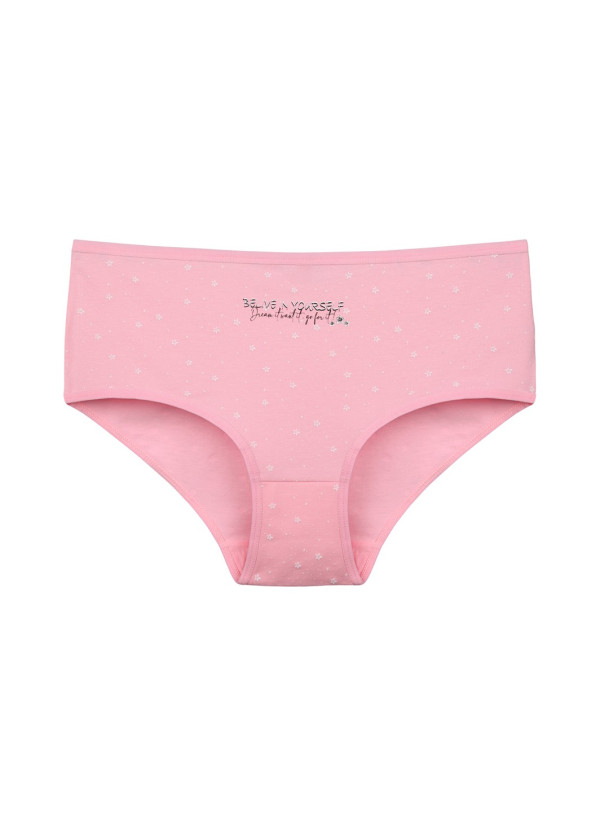 Donella 2581B21 Assorted 10-Pack Women's Briefs — Istanbul wholesale supplier 2